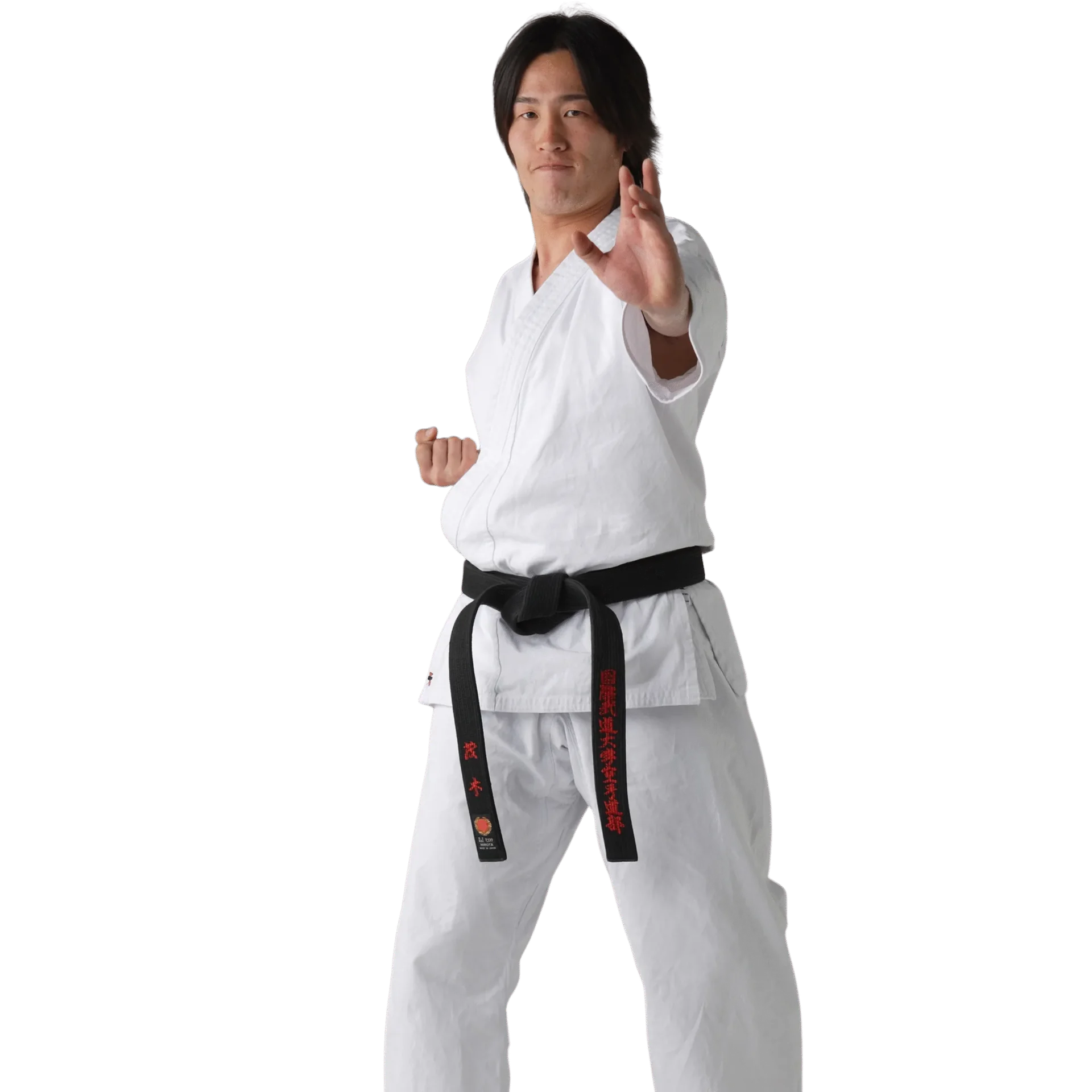 Martial artist in a white gi and black belt in a ready stance